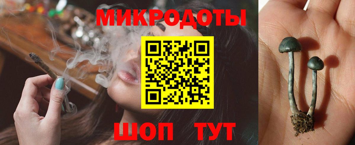 Галлюциногенные грибы прущие грибы  Вход с VPN  Ивантеевка  Галлюциногенные грибы Psilocybine cubensis 
